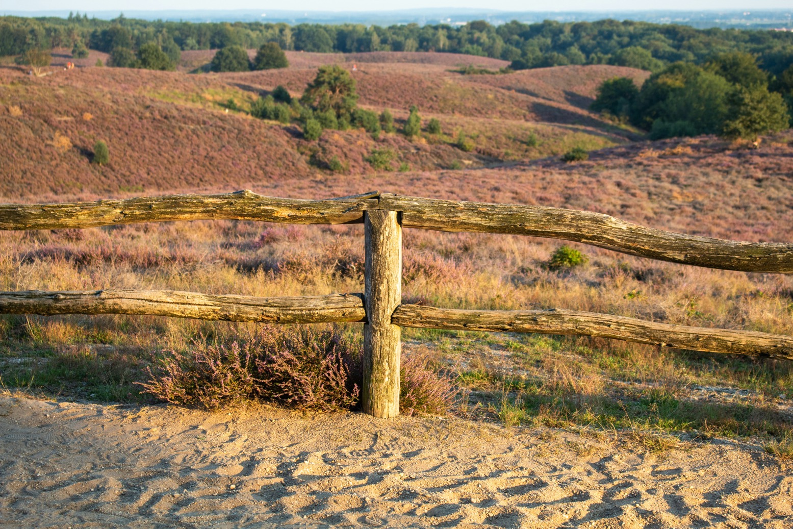 Wandelen op de Veluwe